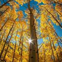 1775f3b3cf6854ea229b5d4c353f6d220ce94713