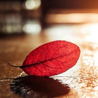 2a78b21200450133e01044613bf3cdd386b090af