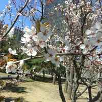 920b322701a52731043c0d2282bebf4d3b4ee4d0