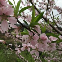 8f0c4d1f38a3564fc4bd449a891fcd81de33f950