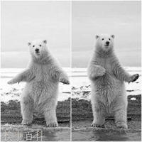 D51f0f4c1af2a9823ab72d716cbe9eab7e874b9f