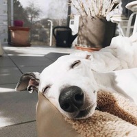 83595edeea1e8c3692053e468c70669392b85f63