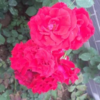 B07dad6e7099ed3ba961791977f06967430337fe