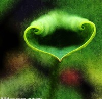 B92a7236ae26cd98e6c901778be50a54c10f1ce9