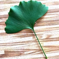 Eee062063415b46b7801dba52d6e39853028cd1c