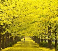 36f9ee6d6ffe28631ec1465c7dd22379ed818df3