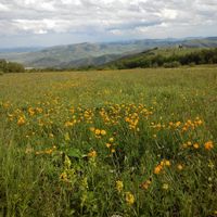 4df4929f4851552169a8d1b2e4aae8ef112e076c