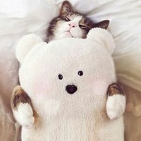 53d5cade68dfa669e981f3d96f9490c5ac3eac3c