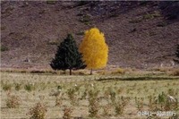 E77e5c7a69065fa322d50d0507ff8b18e5b88f28