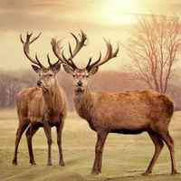 B8f364ea14b95e3783690f3d26a18bfa4c4b813e