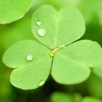 E5cf70a567368ecf6695b97365ba4a1a3b2eeb83