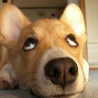 9df55e292fa295e9727648cde6715d0d16a2b835