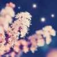 D96c8742b80f7deadec9ca1c3090b3a2e77ff641