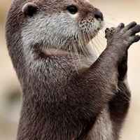 923df70f315b4f55d7ef3ed58bd0d32493d5f4b4