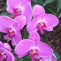 C5dc102182d857f941786feea0ef84ef5c78b49a