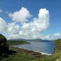 A24ecd277935400ad3d9b94ee3e1c380ba32fde0