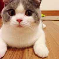 E6c77044767043b17bddfcfcc0f2d0e70b0b384d