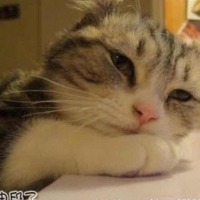 9bbabde3c68bba2eec79b0af1e4a5c1ff6d5886a