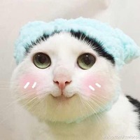 D1d93880cbce66d25789c50ff867d73acc20d397