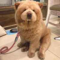 8df313a909b4157fdec56bc49eb503cde2d41727