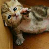 9c1b36a0743ea6d0d957069f7cc4f708afeb1ed3