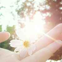 736d08c4824bed2e33929fe6aeaf574319b288d1