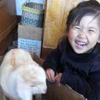 C955e41b568355e0b85a90a884be2f6406fa221a