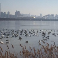 A219f75dc4d087d69c81b711594e9925c6261b92