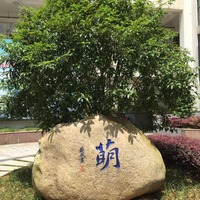 Fe24d714bc3fd3fce8fb58ba1d34034fcfd378d4