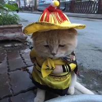 B5daa41d35b9f720497bc4a1262649ecf0536533