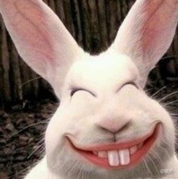 241d689767743e0df6bd28baa0b2e2cd8256b558