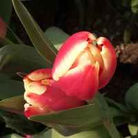 287f876d7e51283604d1a0ea4caae5c894510b0a