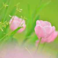 E00ccd968c1bddc69854000fc801c6a520ffc7cc