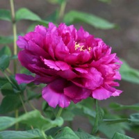 459654755dd8a8f835a7220a1a5e61d6231a1b76