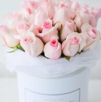 0be5fd43f44aa5d0db8fe6a9970d6dc59c3e035a