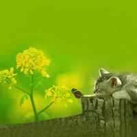 527e2acee0ee28214cd6f30aa3ff13cff9ed859b