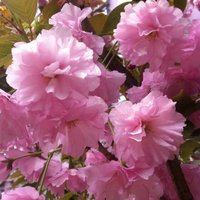 671589a6c7e221165e6ace6344e6461e5391283a