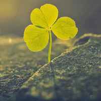 Cdb87e851c1f967565798901060448e256bfd4d7