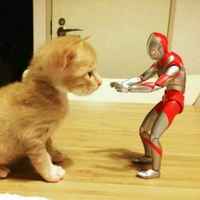 7d04ea5581b4f76c1059b2470ec2acded25ddafa