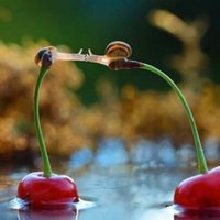 17ef487c67023a5234f98f91b33fab367dbefec1