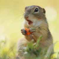 0ca9f6941b3df1f76bce94e471d106f03db7117a