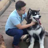 3d17381a78f67e98a8db8ce1c1892c8bfc49a8bc