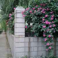 0787e6204661927e0295d3641fc6ac286531fa4f