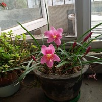 646c5596842c597dc90ff9e399ceccb14038556f