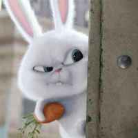 219fdeca491ef90350ae2cc5bf32795666cf945b