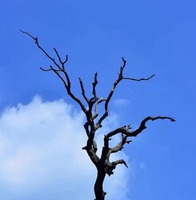 Df403c10746a0a72f5e1e1127721d22dcc6db5b4