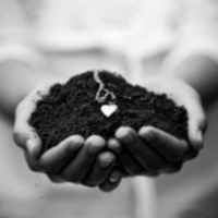 B227c5d755932fd2456ae5df9204cf002f07b7ed