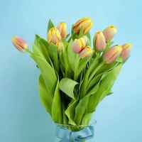 3519c56684072eb9614933d21686b53ac32b92ce