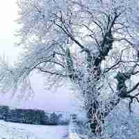 1a443b922d38e61cf89d1db0f5b24e5f1d3ea1cf