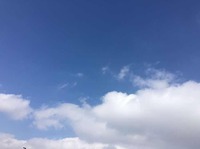 Bfa45346813e6e3a7fe768ea89fcb7088dac2043